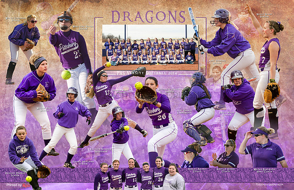 2014 Varsity Softball