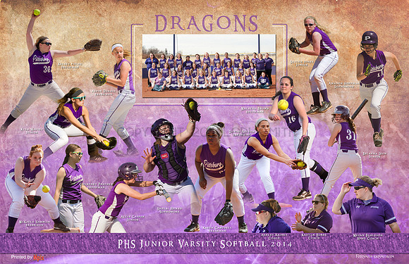 2014 Jr Varsity Softball