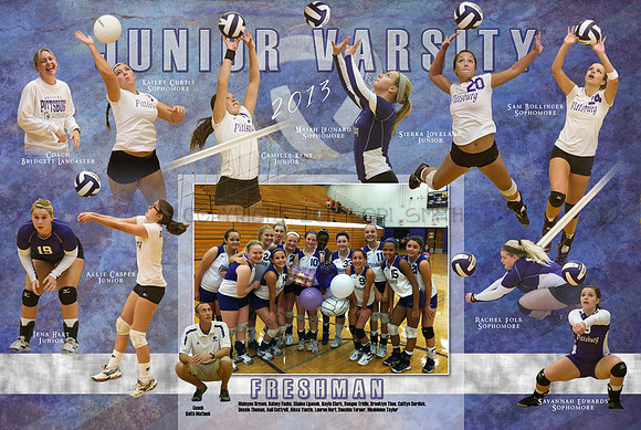 2013 JV/Freshman Team Composite