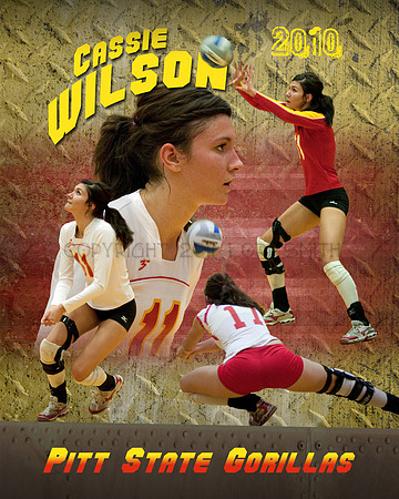 Metal Sports Composite