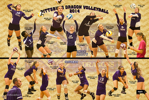 2014 JV/Fresh Volleyball
