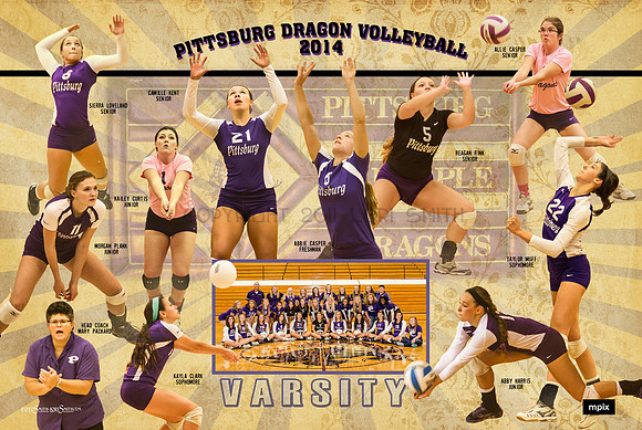 2014 Varsity volleyball